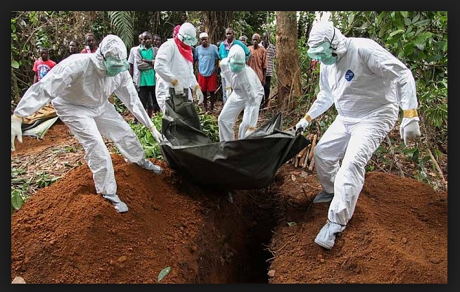 вируса ебола