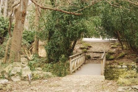 чудотворна енергия