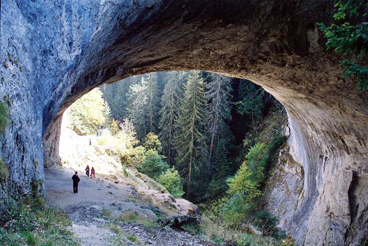 Чудните мостове