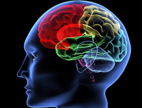 Мозъчните тумори влияят на процеса на мислене