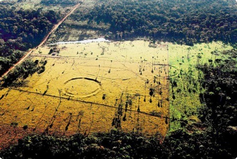 Неизвестна досега древна цивилизация е открита в Амазония – снимка на техните строежи от въздуха