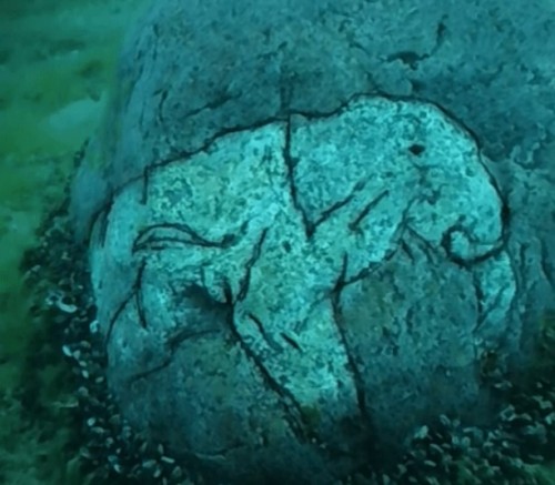Невероятно изображение на мастодонт върху подводна скала в езерото Мичиган