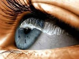 Трепетник 3 трепетник езика на тялото, вежда