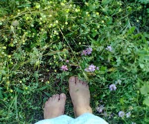 еньовден еньовче билки магии обреди ритуали 03