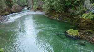 златоносни реки в Родопите, иманяри злато - 05