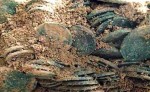 знаци за заровено злато карти имане 03