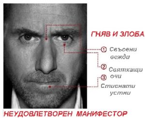 Хюман дизайн