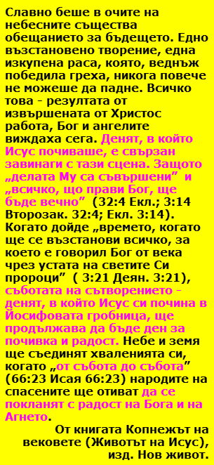 Velikden 5