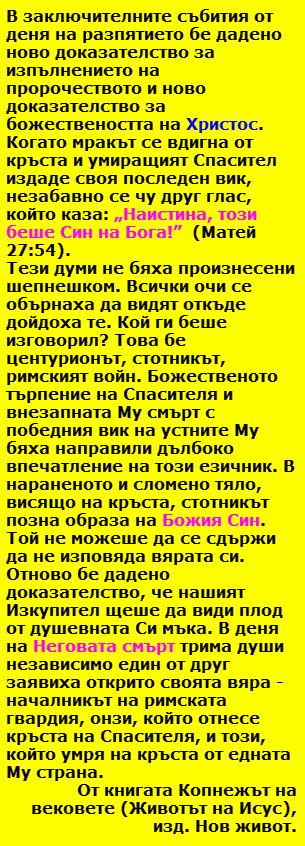 Velikden 6