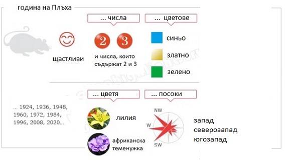 Китайски хороскоп: Година на Плъха. Какво ни чака? Календар 7 2020 година китайски календар, зодиак