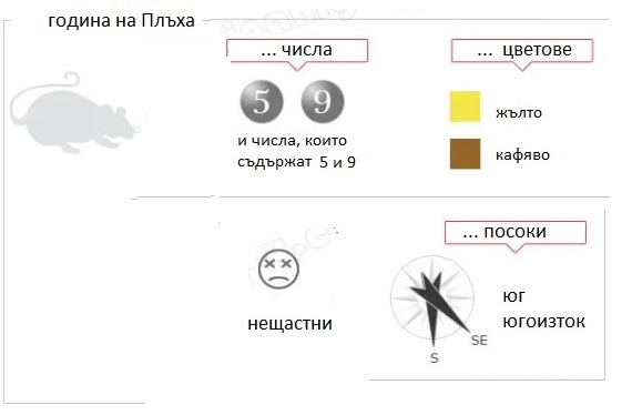 Китайски хороскоп: Година на Плъха. Какво ни чака? Календар 8 китайска нова година 2020, хороскоп, Плъх