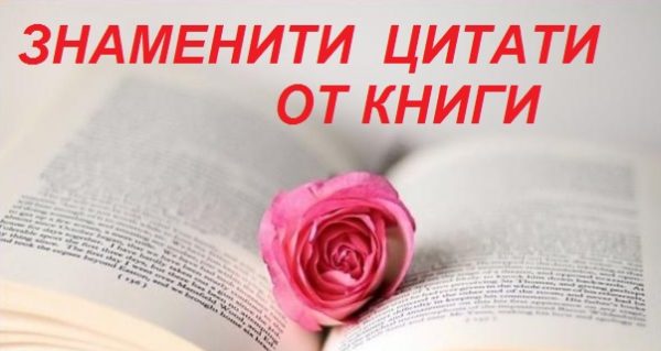 цитати от книги, мисли на писатели, цитати от произведения