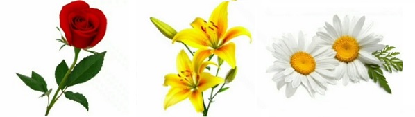 101 лесни гатанки за деца с отговори 12 Гатанки за деца с отговори