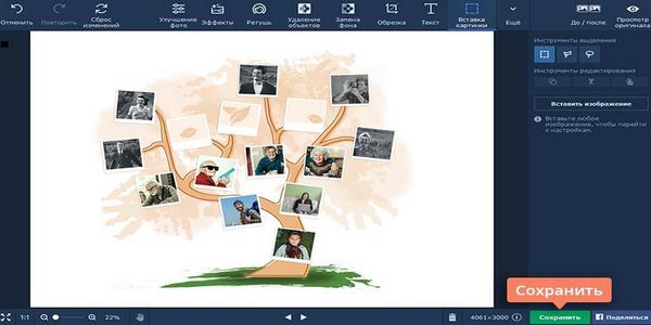 Rodoslovno darvo s Movavi Photo Editor 04