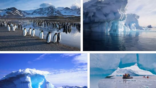 антарктида