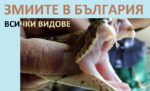 Змии в България