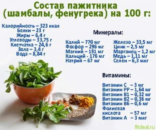 sostav pazhitnika e1569857081871