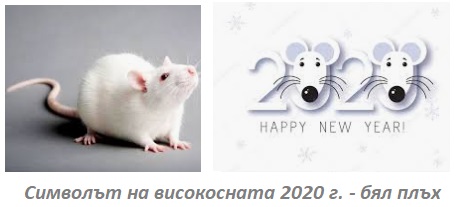 Женски имена ‘2020. Кои са най-добрите имена за момиче?