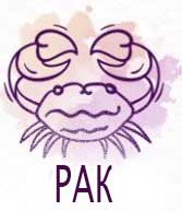 Зодии: Дати. Зодии по месеци 11 04-rak-zodii-po-dati-zodii-po-meseci-300