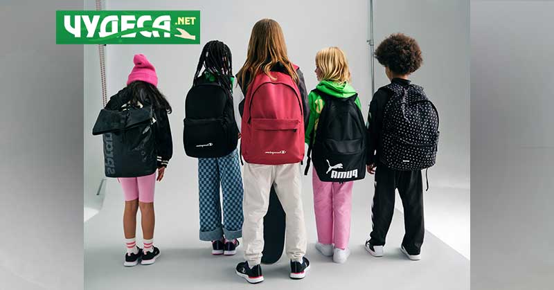 Едно от основните съображения при избора на детски раници за училище е техният размер и капацитет.