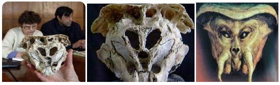 Извънземни в София и България | Топ 10 4 Извънземни в България 01