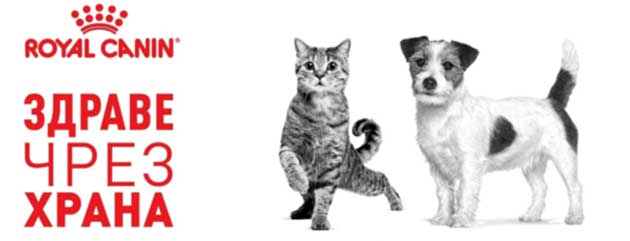 Petsbro, храна за котки