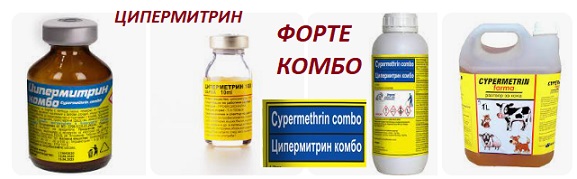 Дървеници 03