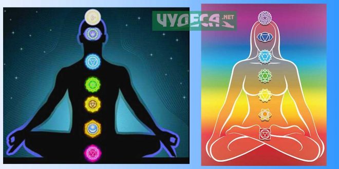 Активиране на чакрите в човешкото тяло. Чакри и цветове