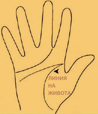 Хиромантия 1